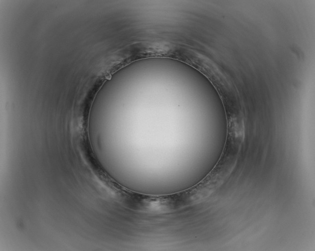 X0000111130564200906301212