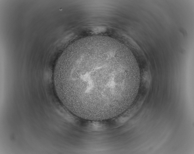 X0000111130565200906301212