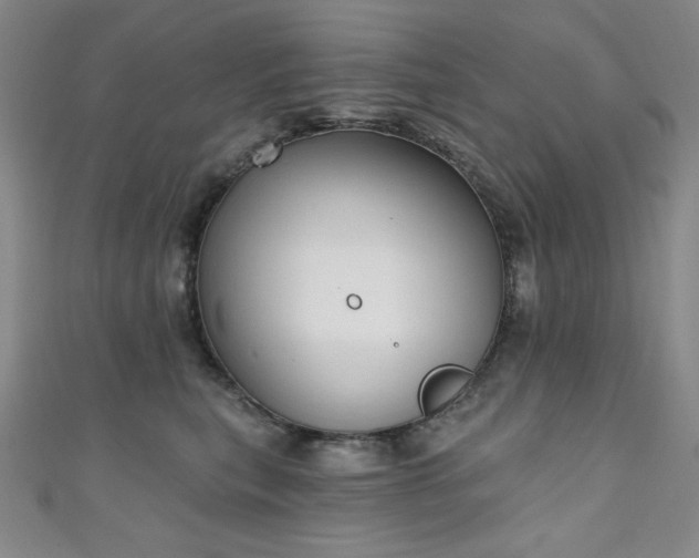 X0000111130567200906301212
