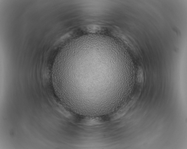 X0000111130569200906301212