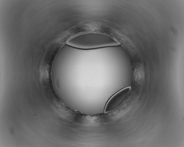 X0000111130570200906301212