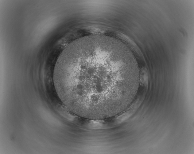 X0000111130573200906301212