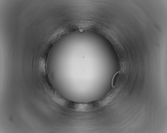 X0000111130575200906301213