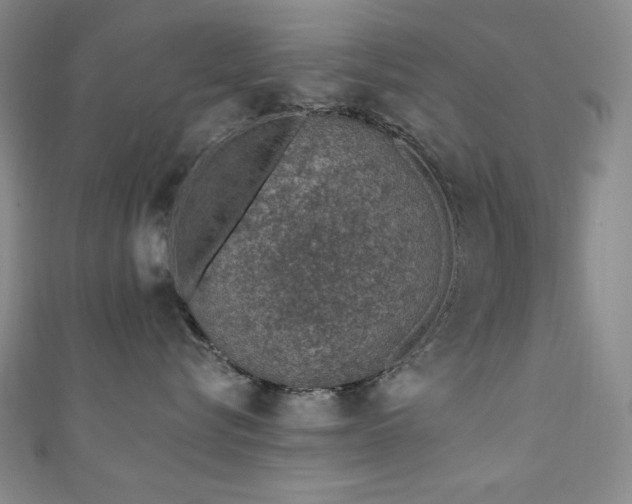 X0000111130576200906301213