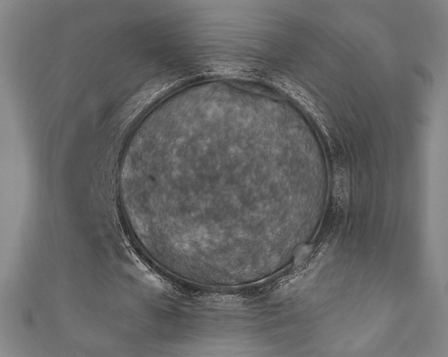 X0000111130577200906301212