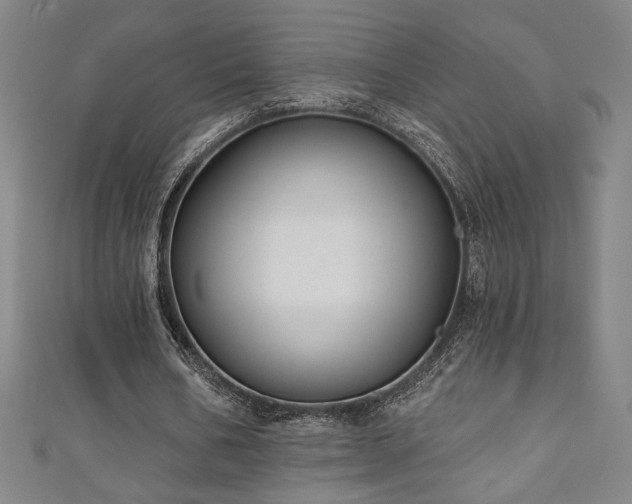 X0000111130578200906301212