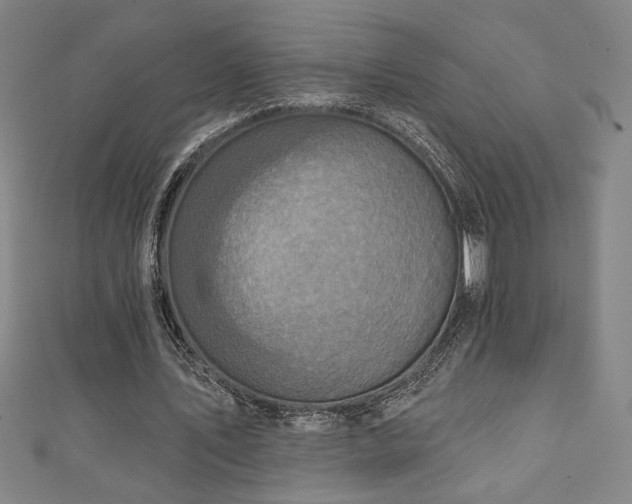 X0000111130579200906301212