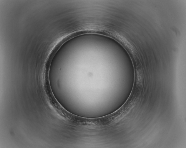 X0000111130580200906301212