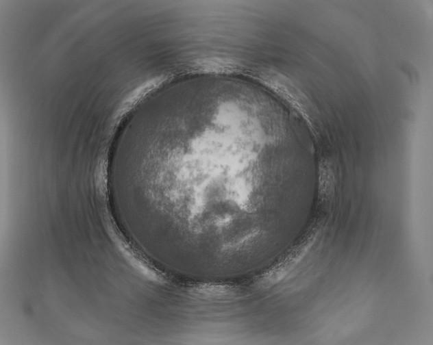 X0000111130581200906301212