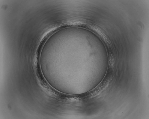 X0000111130583200906301212