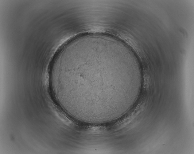 X0000111130584200906301212