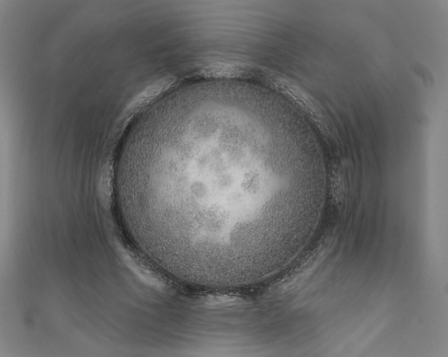 X0000111130586200906301212