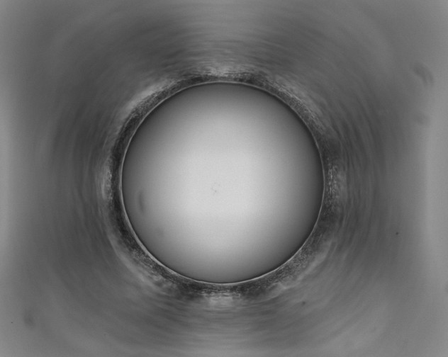X0000111130587200906301212