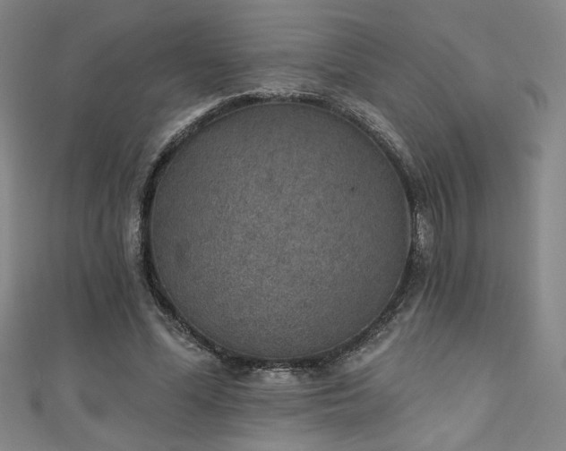 X0000111130588200906301212