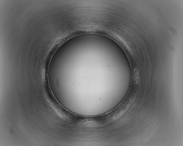 X0000111130589200906301212