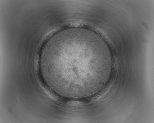X0000111130590200906301212