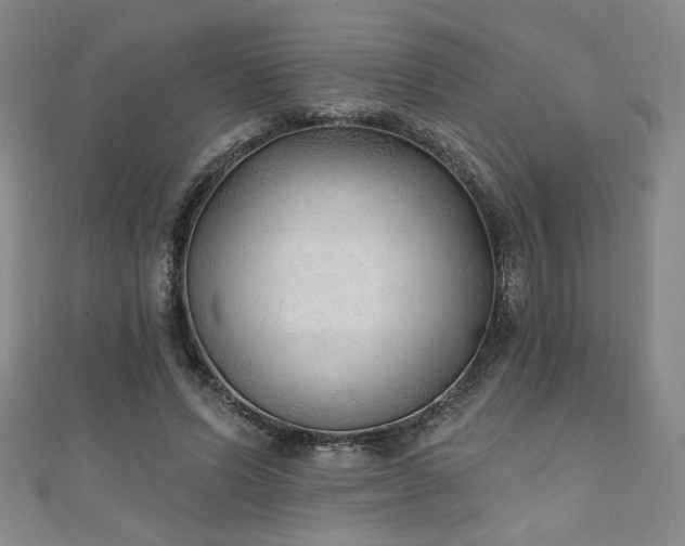 X0000111130591200906301212