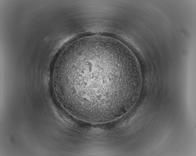 X0000111130592200906301212
