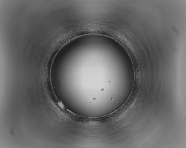 X0000111130593200906301212