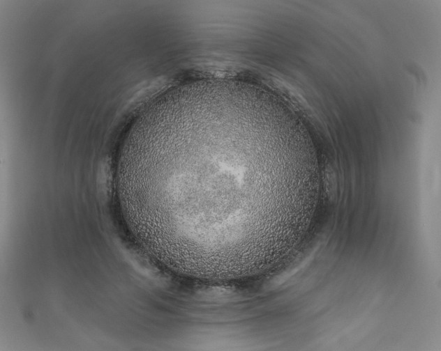 X0000111130594200906301212
