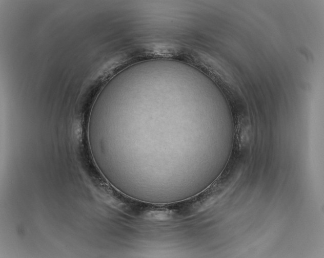 X0000111130595200906301212