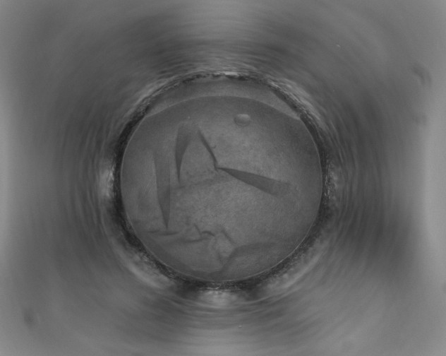 X0000111130596200906301212