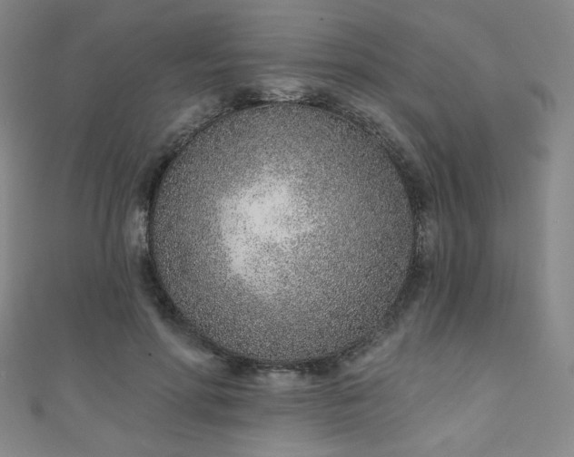 X0000111130598200906301212
