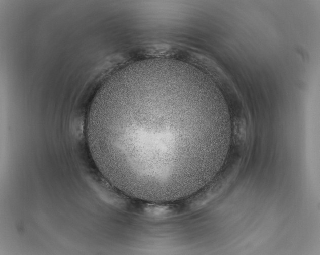 X0000111130602200906301212