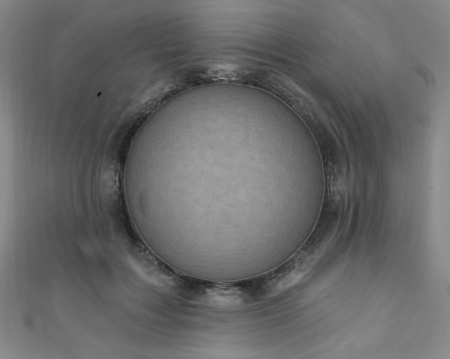 X0000111130603200906301212