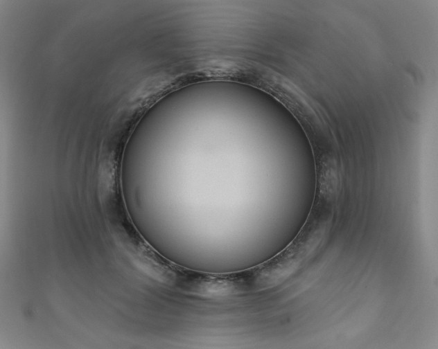 X0000111130604200906301212