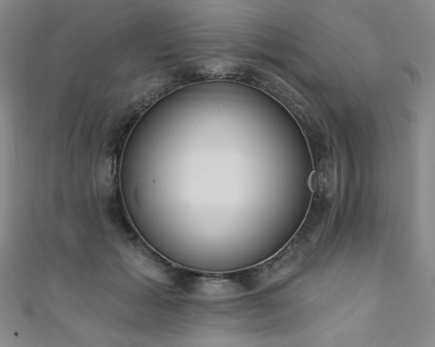 X0000111130605200906301212