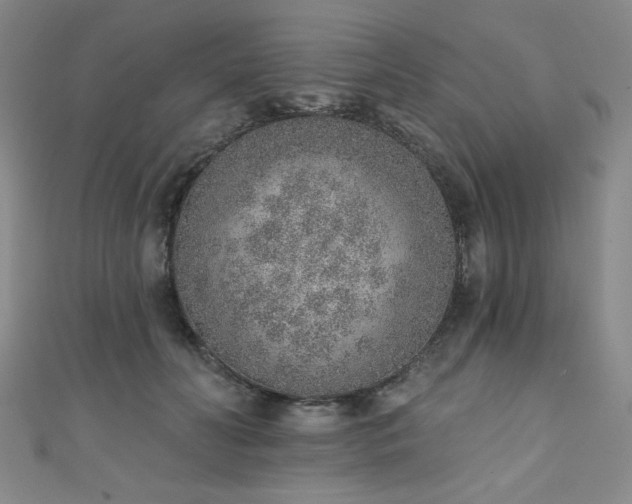 X0000111130606200906301212