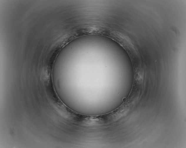 X0000111130607200906301212