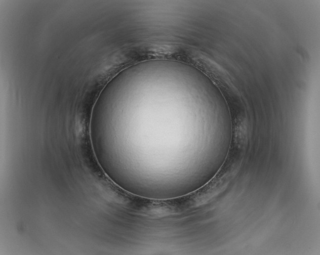 X0000111130608200906301211