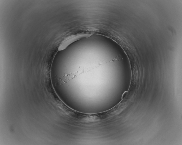 X0000111130609200906301211