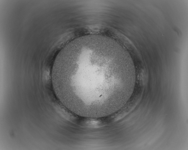 X0000111130610200906301211
