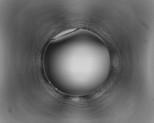 X0000111130611200906301211