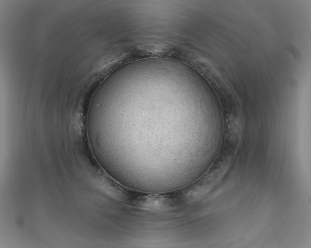 X0000111130612200906301211