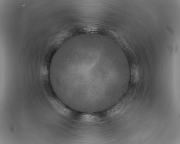 X0000111130614200906301211