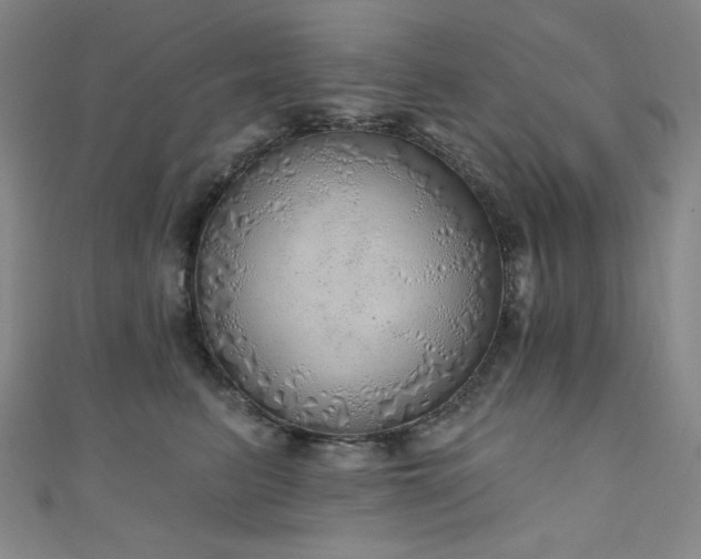 X0000111130615200906301211