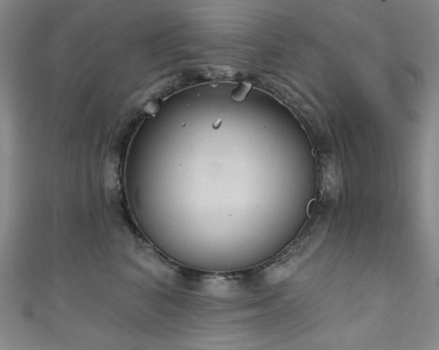 X0000111130616200906301211