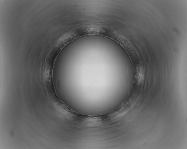 X0000111130619200906301211