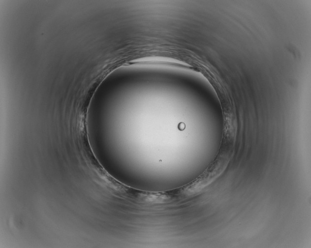 X0000111130621200906301211
