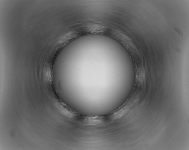 X0000111130622200906301211