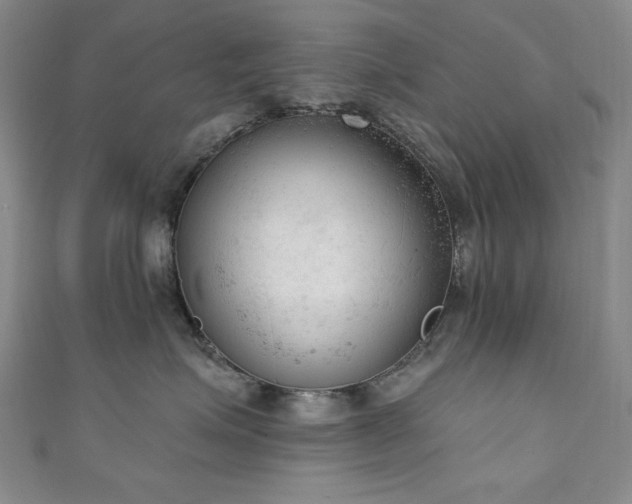 X0000111130623200906301211