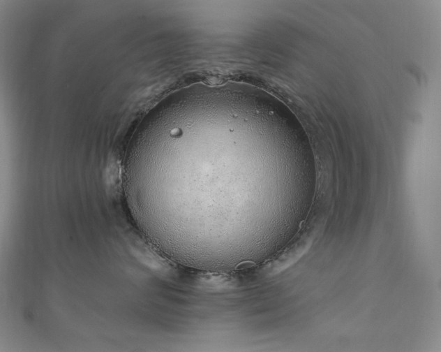 X0000111130624200906301211