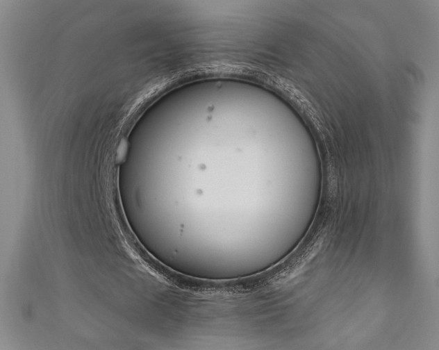 X0000111130625200906301211