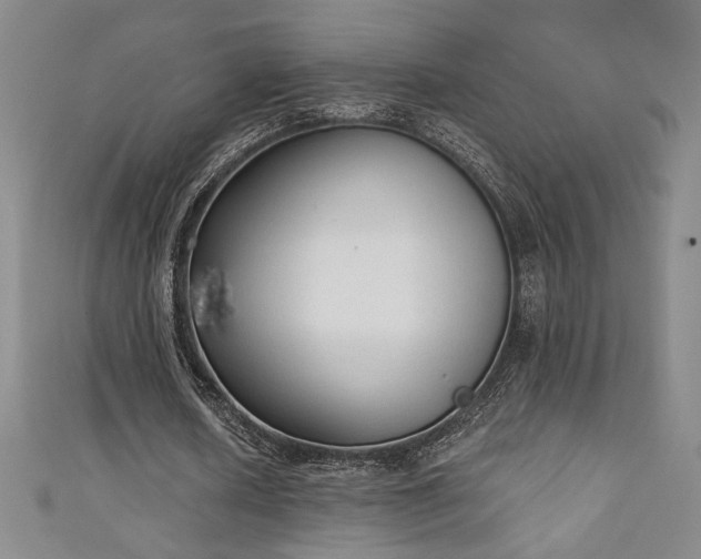X0000111130626200906301211