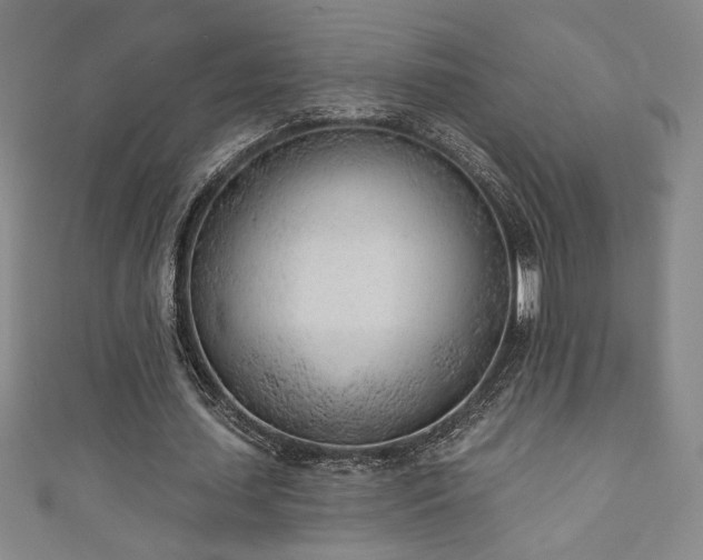 X0000111130627200906301211