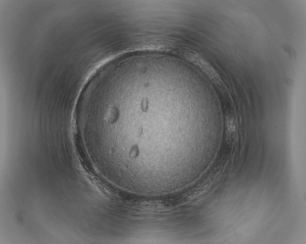 X0000111130628200906301211